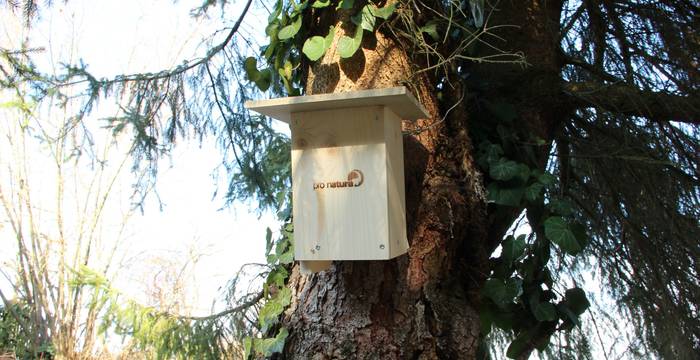 Haselmausnistkasten am Baum