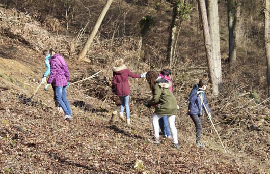 Gruppe am arbeiten im Wald_cr_Lena Bühlmann