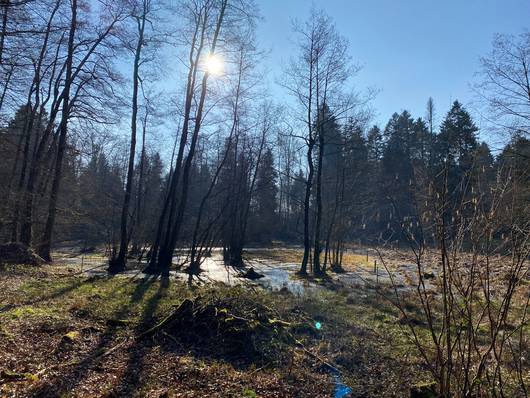 Naturschutzgebiet Egelmoos