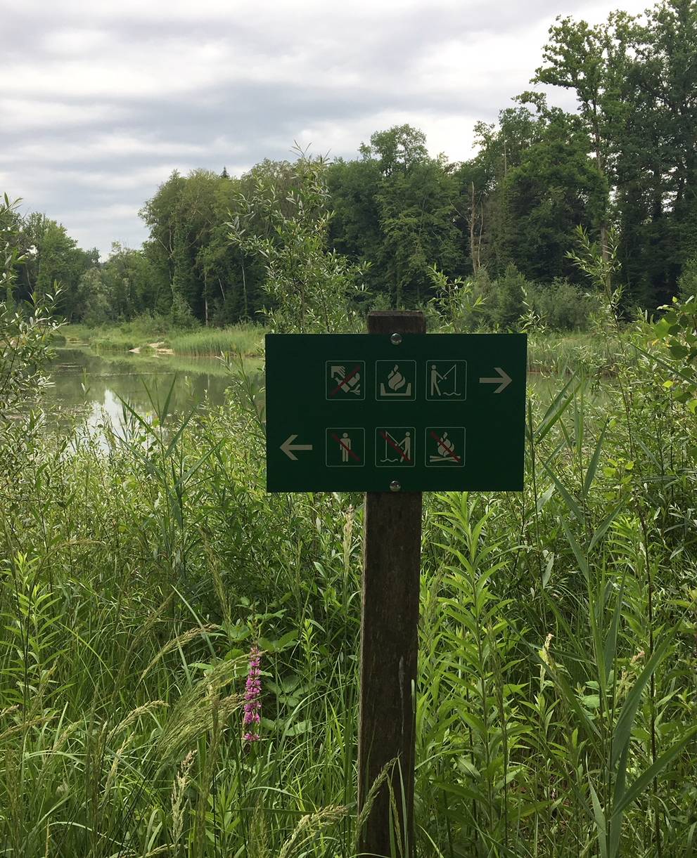 Schutzgebietstafel Reussschleifen